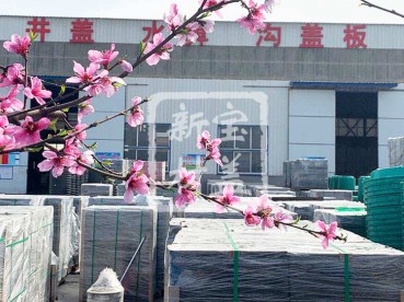 花滿枝頭，春意盎然